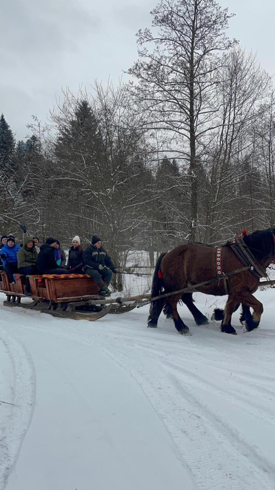 Chatka Wagabundy Wola Michowa Экстерьер фото