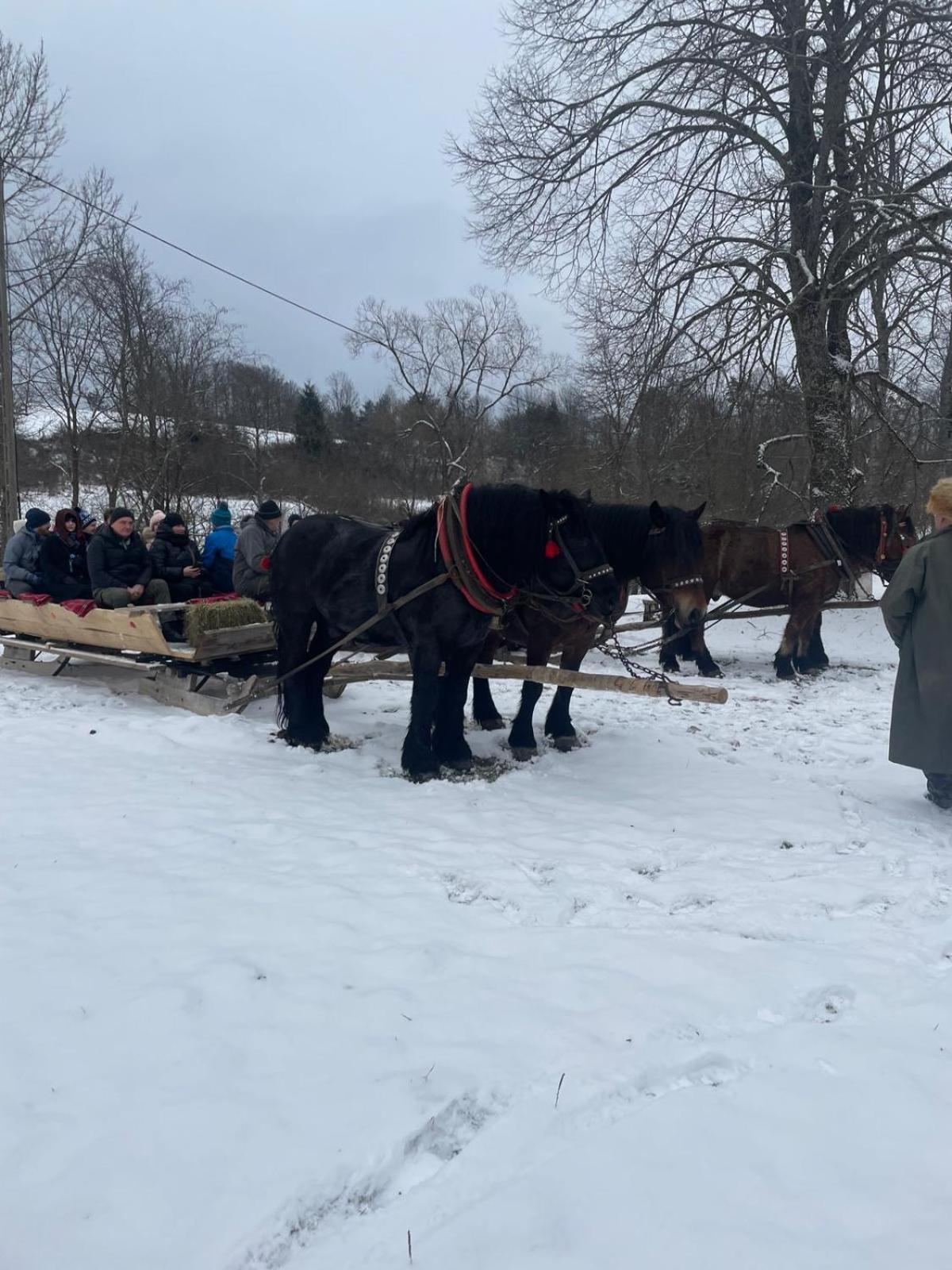 Chatka Wagabundy Wola Michowa Экстерьер фото