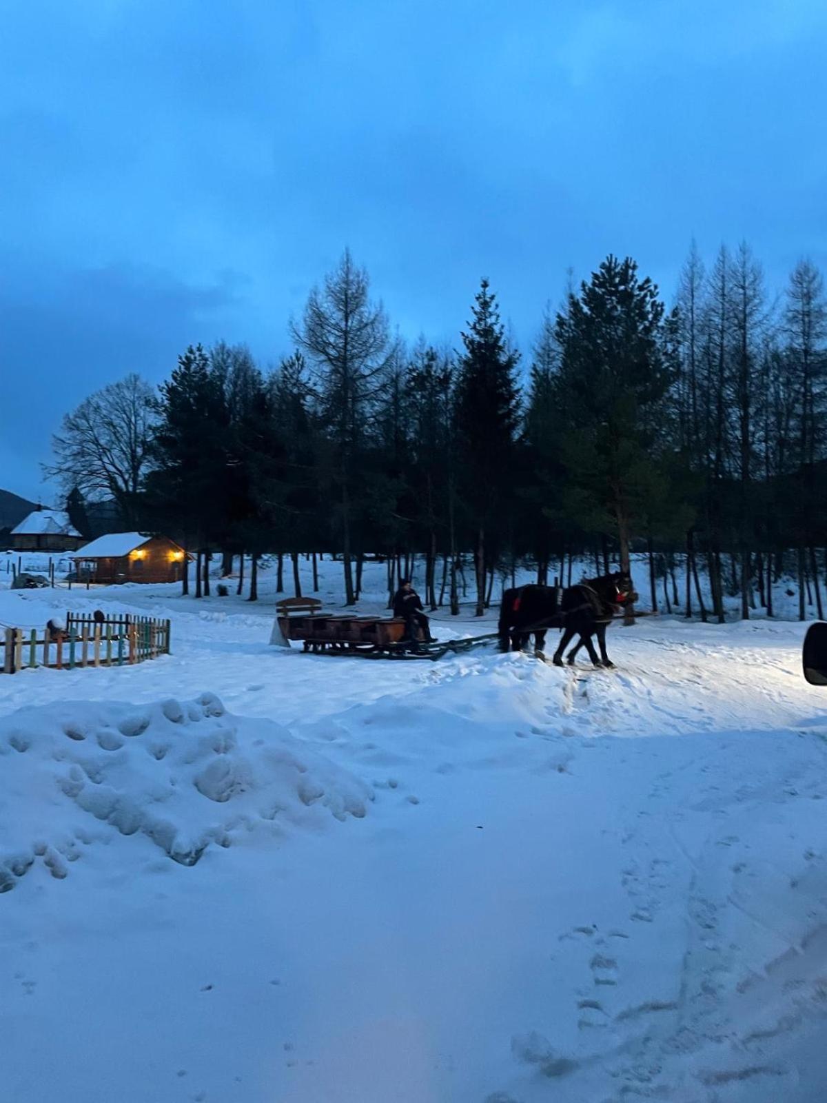 Chatka Wagabundy Wola Michowa Экстерьер фото