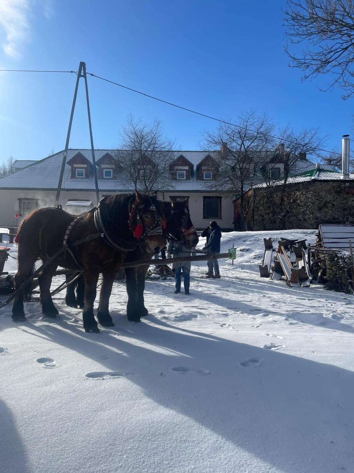 Chatka Wagabundy Wola Michowa Экстерьер фото