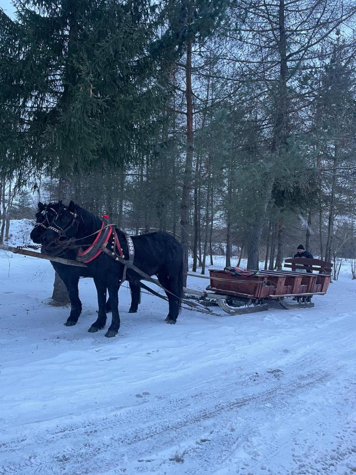 Chatka Wagabundy Wola Michowa Экстерьер фото